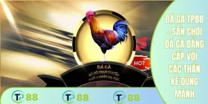Đá gà TP88